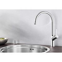 ��������� BLANCO Carena (����)