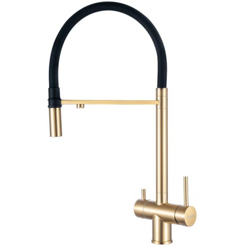 ��������� Arona ARM 309 GOLD